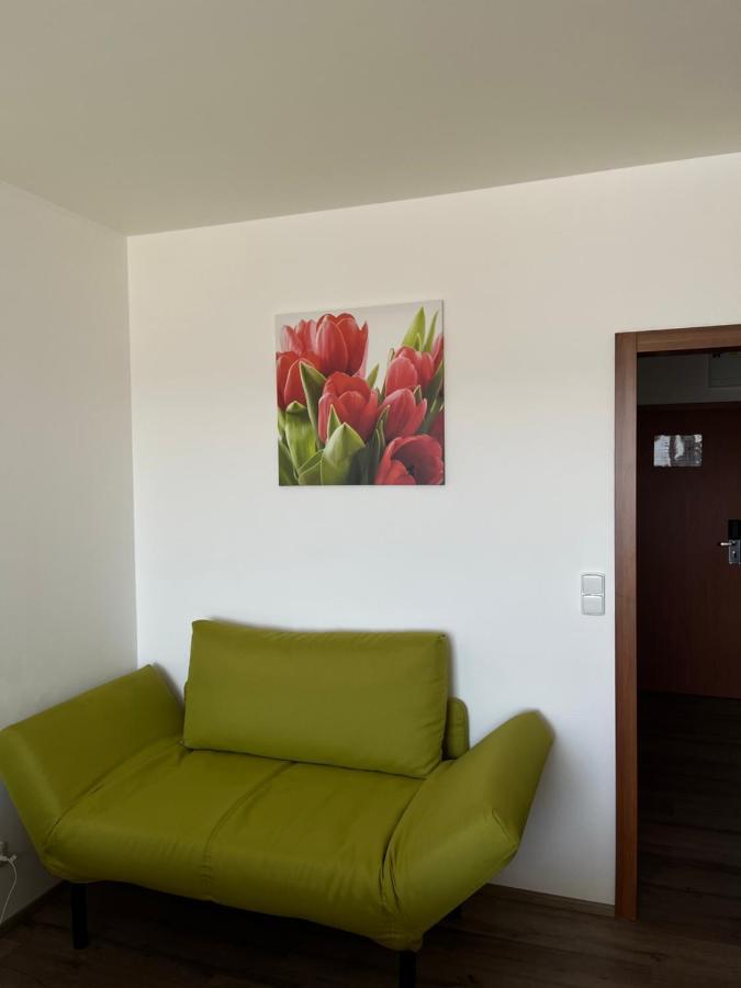 Ubytování Hanka v hotelovém pokoji C408 Frymburk Esterno foto